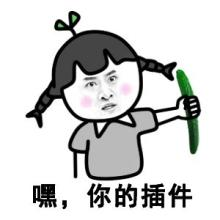 你的插件